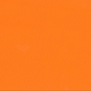 Meet your Posher, Elijah